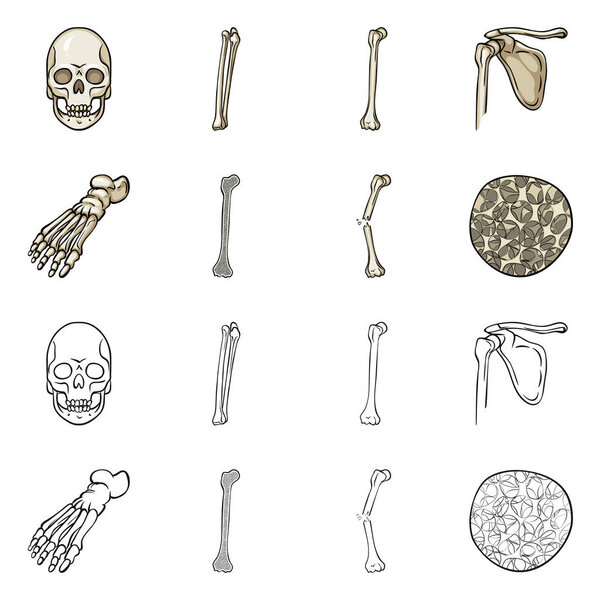 Изолированный объект медицины и икона клиники. Коллекция медикаментов и векторных иллюстраций медицинского фонда
.