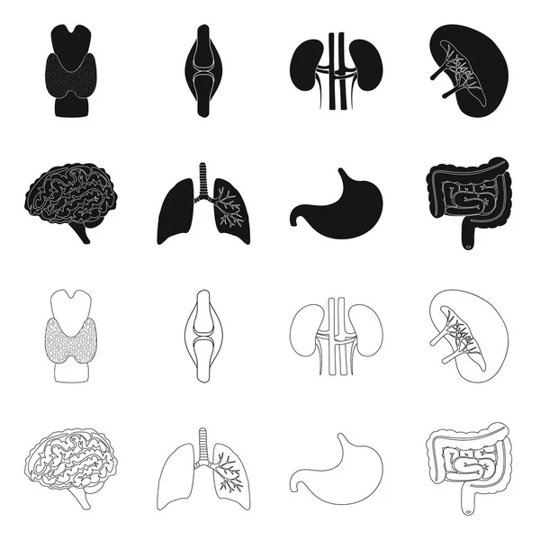 生物学と科学のアイコンのベクトル図です。生物学研究所の株式ベクトル イラスト集. — ストックベクタ