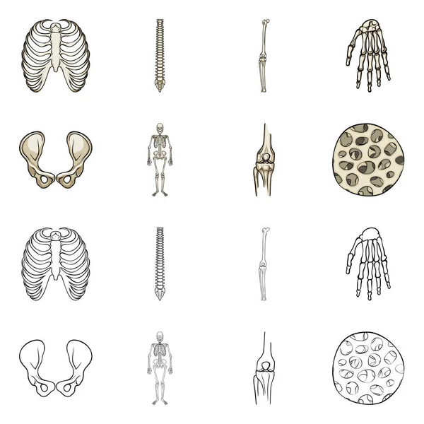 Vector ontwerp van geneeskunde en kliniek pictogram. Set van geneeskunde en medische voorraad vectorillustratie. — Stockvector