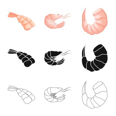 Meze ve okyanus simge vektör tasarımı. Meze ve incelik hisse senedi vektör çizim topluluğu.