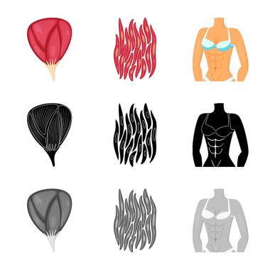 Lif ve kas logo vektör tasarımı. Hisse senedi için lif ve vücut vektör simge kümesi.