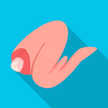 Tavuk ve kanat sembolüizole nesne. Web için tavuk ve tarifi stok sembolü seti.