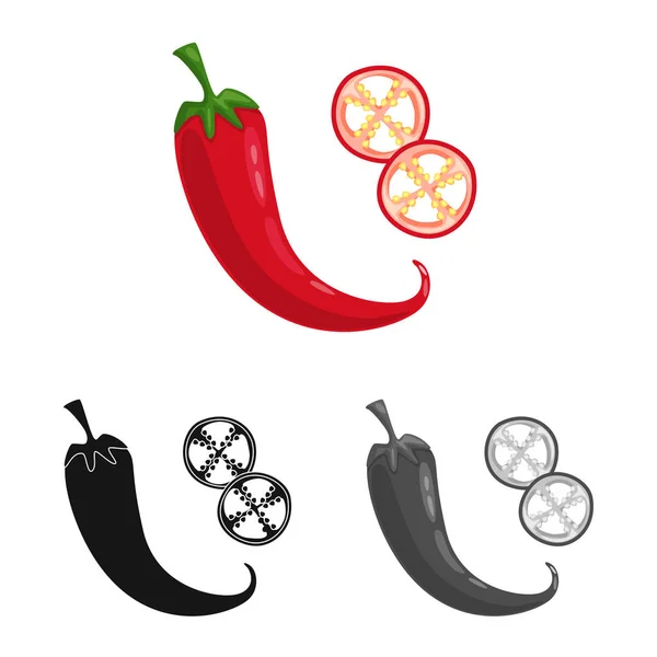 Μεμονωμένο αντικείμενο πιπεριού και τσίλι. Σετ πιπέρι και κόκκινο σύμβολο αποθέματος για το Web. — Διανυσματικό Αρχείο