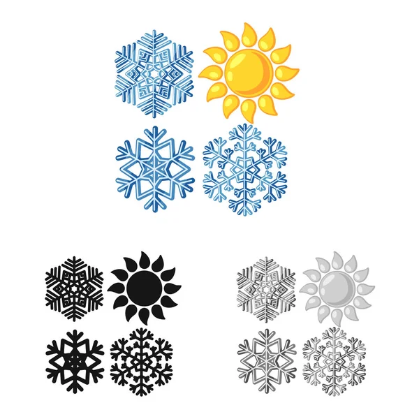 Isolated object of snowflake and falling icon. Collection of snowflake and winter stock vector illustration. — Stock Vector
