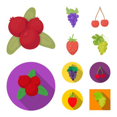 Berry ve meyve sembolü yalıtılmış nesne. Berry ve redberry hisse senedi simgesi için web topluluğu.