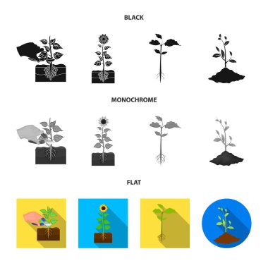 Bitki ve fasulye simge vektör Illustration. Hisse senedi için bitki ve işlem vektör simge kümesi.