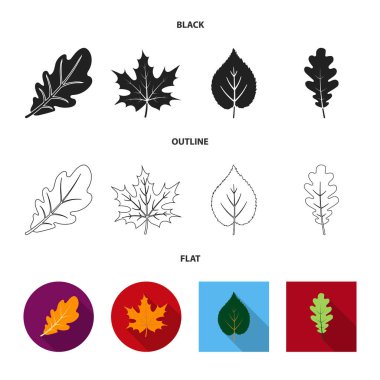 Vegan ve organik simge yalıtılmış nesne. Vegan ve taze stok vektör çizim.