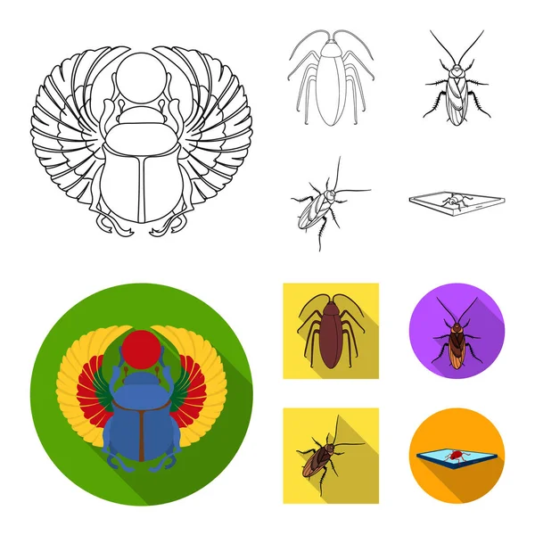 Isolated object of insect and beetle icon. Collection of insect and halloween stock vector illustration. — Stock Vector