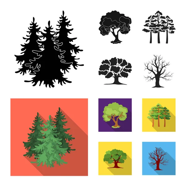Vektordesign von Baum- und Waldsymbol. Sammlung von Baum und grünem Aktiensymbol für das Web. — Stockvektor