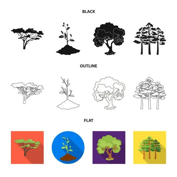 Ilustração vetorial de árvore e símbolo florestal. Conjunto de árvore e símbolo de estoque verde para web . — Vetor de Stock