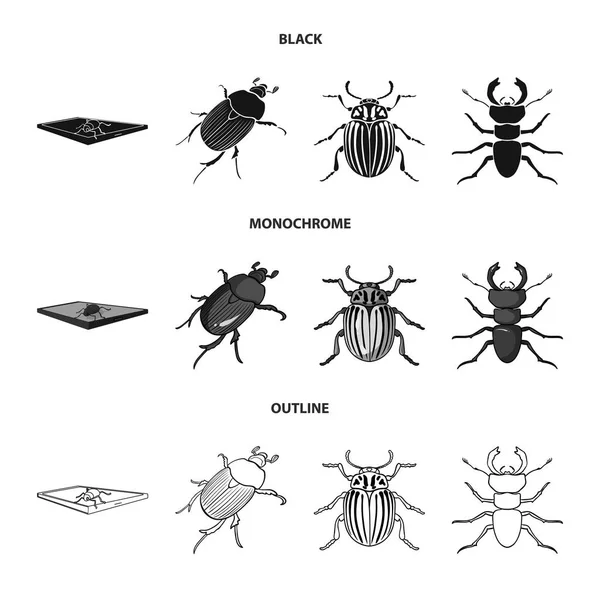 Vector illustration of insect and beetle icon. Collection of insect and halloween vector icon for stock. — Stock Vector