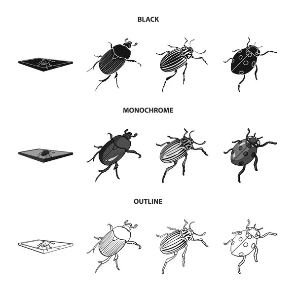 Vector illustration of insect and beetle sign. Collection of insect and halloween stock vector illustration. — Stock Vector