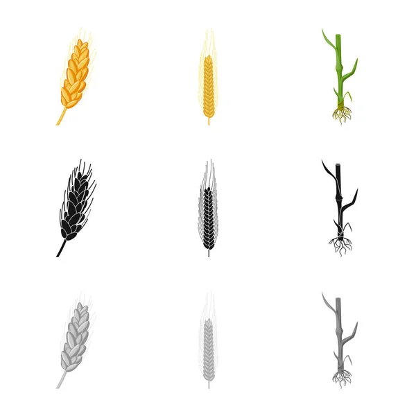 農業・農記号オブジェクトを分離。在庫のための農業と植物のベクトルのアイコンのセット. — ストックベクタ