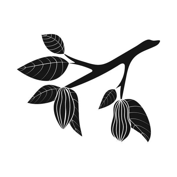 Illustration vectorielle de l'icône arbre et chocolat. Ensemble de symbole de stock d'arbres et de plantation pour toile . — Image vectorielle