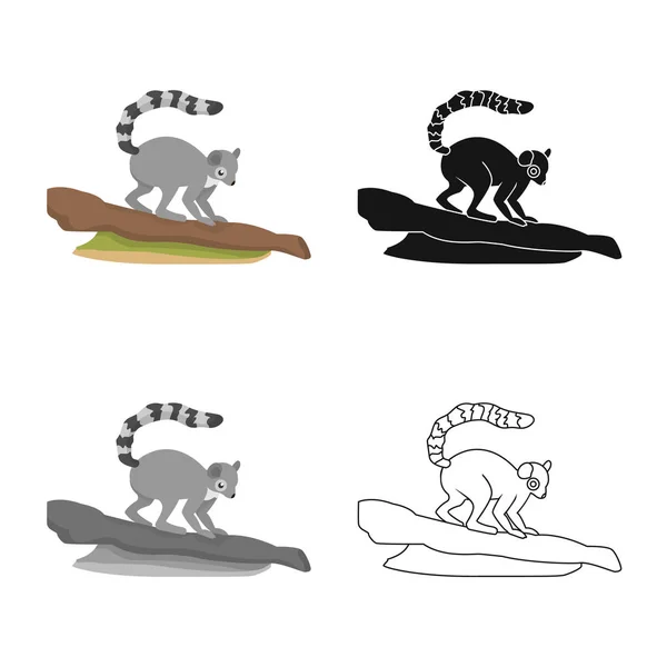 Izolovaný objekt lemur a opičí značka. Sada symbolů lemur a stromových akcií pro web. — Stockový vektor