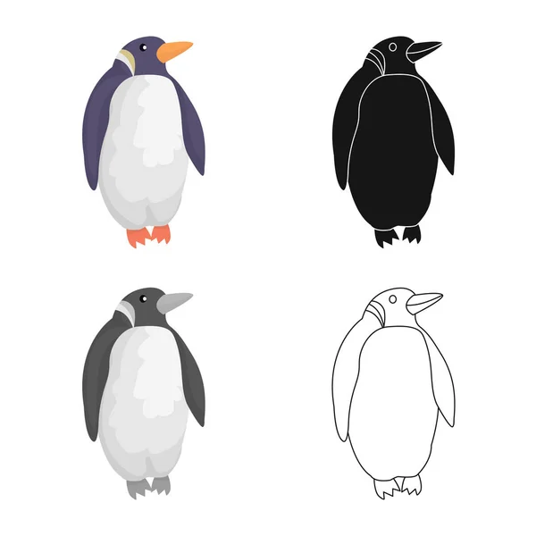 Vektor illustration av pingvin och vit ikon. Uppsättning av pingvin och Wild Stock symbol för webben. — Stock vektor