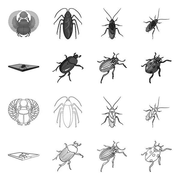 昆虫とカブトムシのロゴのベクトルデザイン。在庫のための昆虫とハロウィーンベクトルアイコンのセット. — ストックベクタ