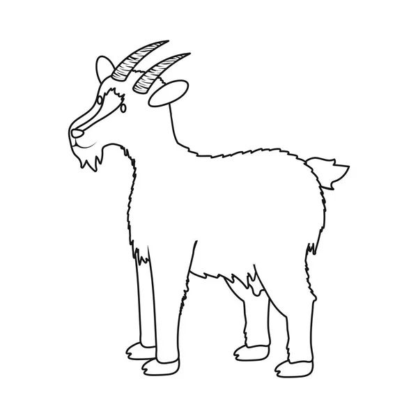 Projeto vetorial de cabra e logotipo do animal de estimação. Recolha da ilustração do vector caprino e leiteiro . —  Vetores de Stock
