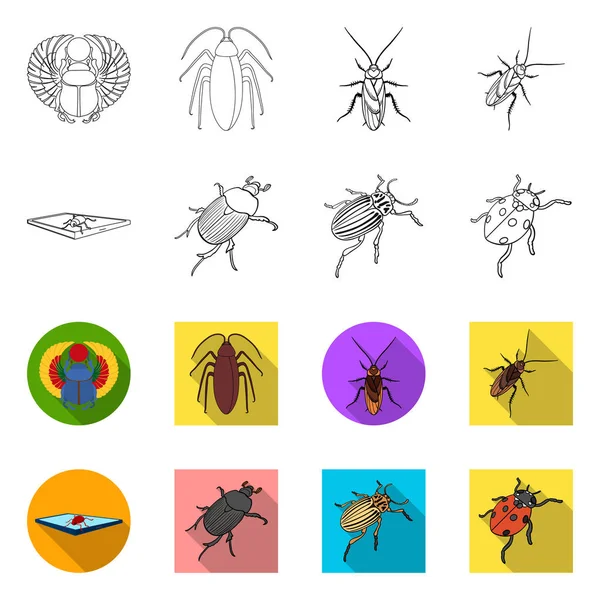 Objeto isolado de ícone de inseto e besouro. Coleção de inseto e símbolo de estoque de halloween para web . — Vetor de Stock
