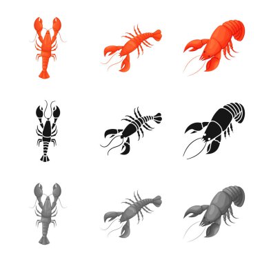 Meze ve okyanus simgesi yalıtılmış nesne. Meze koleksiyonu ve hisse senedi için incelik vektör simgesi.