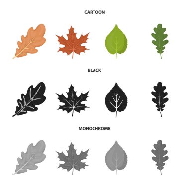 Vegan ve organik simge vektör tasarımı. Vegan ve taze stok vektör çizim koleksiyonu.