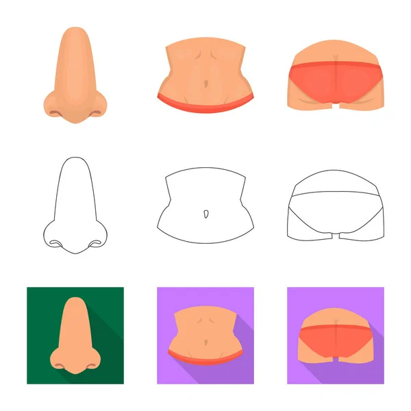 Illustrazione vettoriale del corpo e del logo parziale. Set di icone vettoriali corpo e anatomia per stock . — Vettoriale Stock