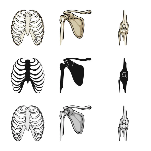 Objeto isolado da medicina e logotipo da clínica. Conjunto de medicina e ilustração do vetor de estoque médico . — Vetor de Stock