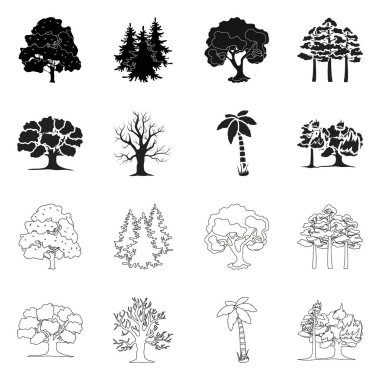 Bir ağaç ve orman işaret illüstrasyon vektör. Ağaç ve yeşil hisse senedi vektör çizim.