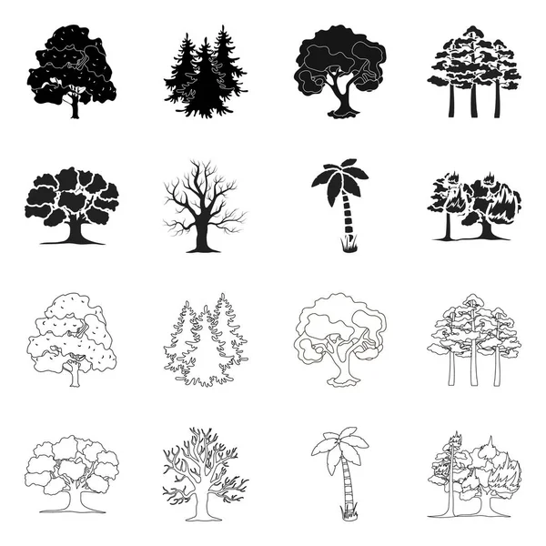 Illustration vectorielle de signe d'arbre et de forêt. Jeu d'illustration vectorielle arbre et bouillon vert . — Image vectorielle
