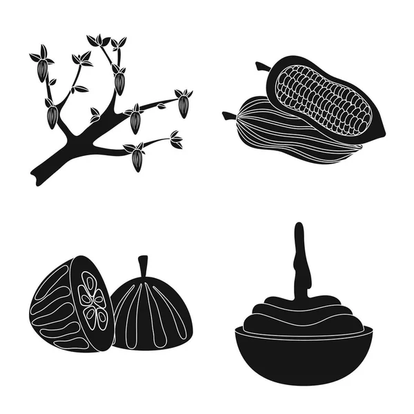 Wektor ilustracji gotowania i brązowy symbol. Kolekcja gotowania i fasoli symbol giełdowy dla www. — Wektor stockowy