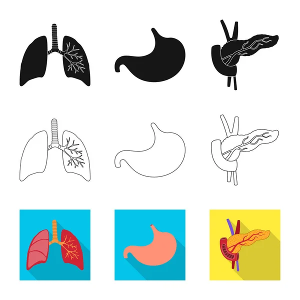 Conception vectorielle de la biologie et des signes scientifiques. Collection de biologie et illustration vectorielle de stock de laboratoire . — Image vectorielle