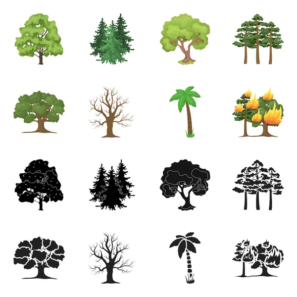 Vektorillustration von Baum- und Waldzeichen. Sammlung von Baum und grünem Aktiensymbol für das Web. — Stockvektor