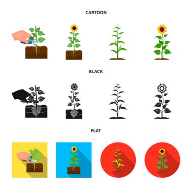 Bitki ve fasulye logo vektör tasarımı. Hisse senedi için bitki ve işlem vektör simge kümesi.