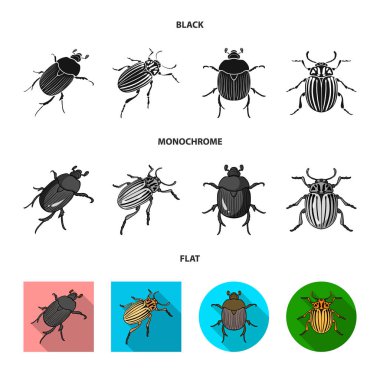 Böcek ve böcek işareti yalıtılmış nesne. Böcek ve Cadılar Bayramı hisse senedi vektör çizim seti.
