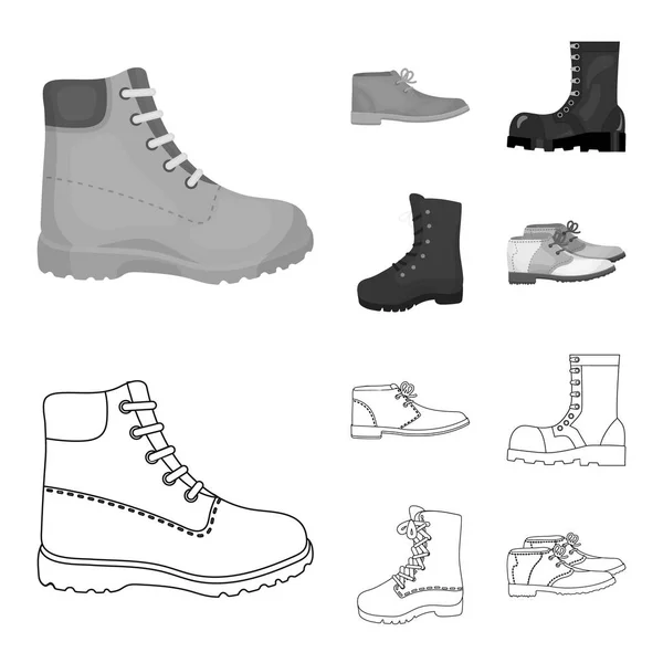 Vektor design av läder och casual-ikonen. Samling av läder och formell aktie symbol för webben. — Stock vektor