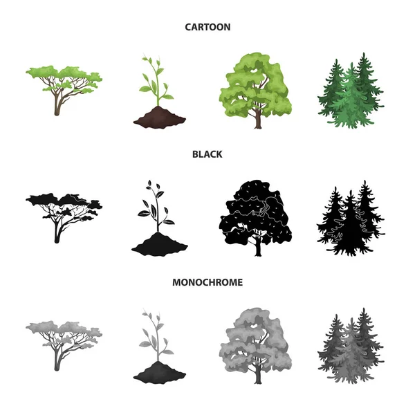 Objet isolé de signe d'arbre et de forêt. Jeu d'illustration vectorielle arbre et bouillon vert . — Image vectorielle