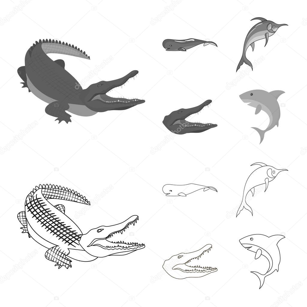 Vector design of sea and ocean sign. Collection of sea and reptiles vector icon for stock.
