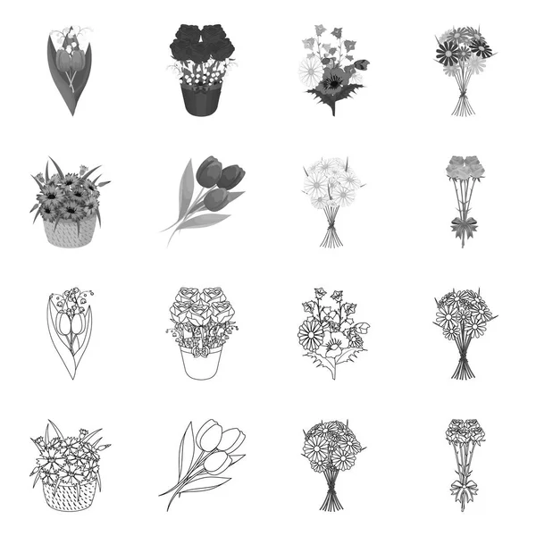 Objet isolé de printemps et symbole de couronne. Collection de printemps et fleur stock symbole pour la toile . — Image vectorielle