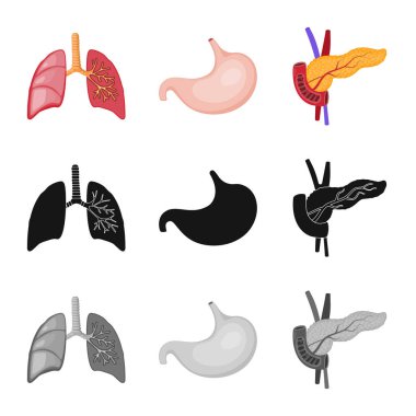 Biyoloji ve bilimsel simge vektör Illustration. Hisse senedi için biyoloji ve laboratuvar vektör simge topluluğu.