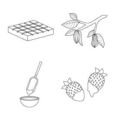 Kakao ve fasulye işareti izole nesne. Web için kakao ve tatlılık stok sembolü seti.