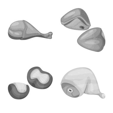 Mutfağın izole nesnesi ve kuş sembolü. Mutfak ve kümes hayvanları stok vektör illüstrasyon koleksiyonu.