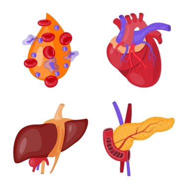 Anatomi ve organ simge vektör Illustration. Anatomi ve hisse senedi için tıbbi vektör ikon koleksiyonu.