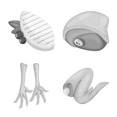 Mutfak vektör tasarımı ve kuş işareti. Web için mutfak ve kümes hayvanları stok sembolü koleksiyonu.