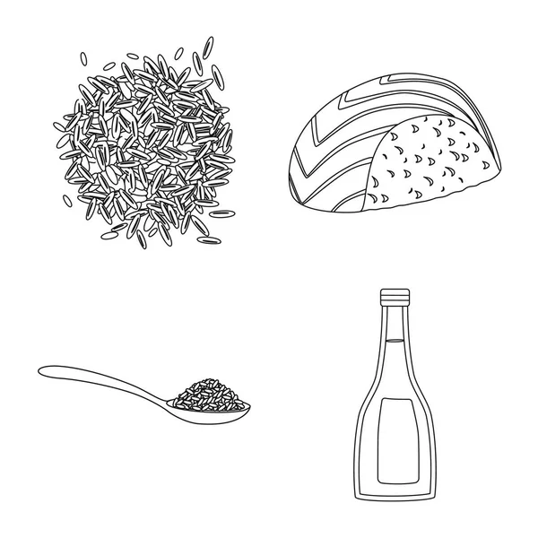 Векторная иллюстрация диеты и кулинарного символа. Коллекция диетических и органических векторных иллюстраций . — стоковый вектор