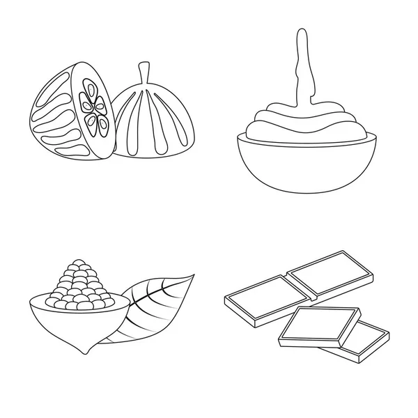 Изолированный объект с логотипом какао и бобов. Коллекция векторной иконки какао и сладости на складе . — стоковый вектор