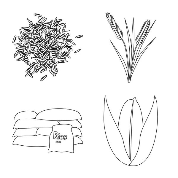 Illustrazione vettoriale della dieta e segno di cottura. Set di dieta e icona vettoriale biologica per magazzino . — Vettoriale Stock