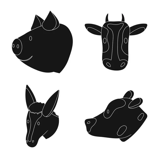 Векторный дизайн ранчо и органический символ. Коллекция векторной иллюстрации ранчо и головы . — стоковый вектор