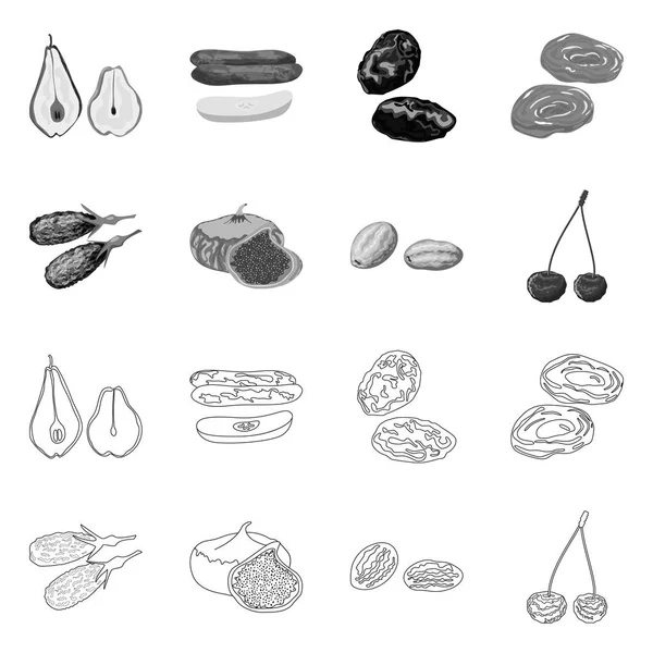 Diseño vectorial de alimentos e icono crudo. Colección de comida y naturaleza símbolo de stock para la web . — Vector de stock