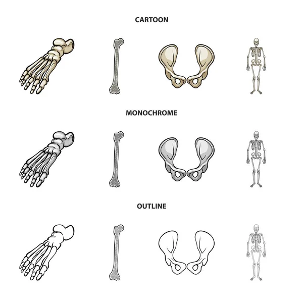 Ilustração vetorial da medicina e símbolo da clínica. Conjunto de medicina e ilustração do vetor de estoque médico . — Vetor de Stock