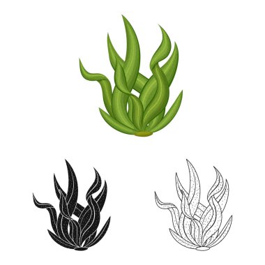 Alg ve vegan işareti vektör illüstrasyon. Stok için yosun ve organik vektör simgesi koleksiyonu.